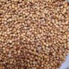 coriandre grain 2,5kg premium – Image 3